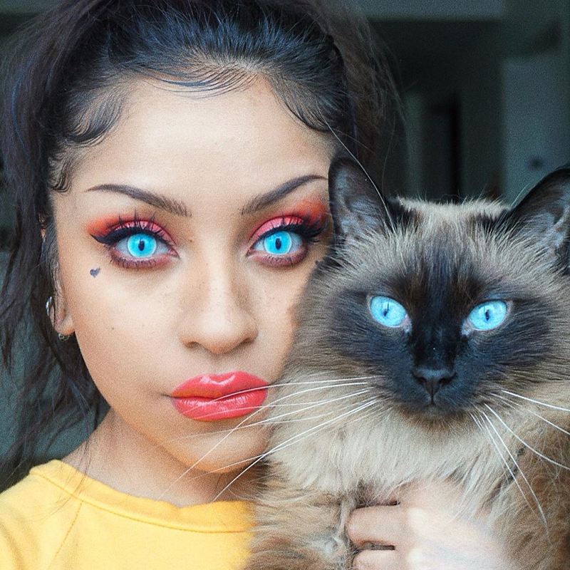LENSPOISON-Ragdoll Cat Blue