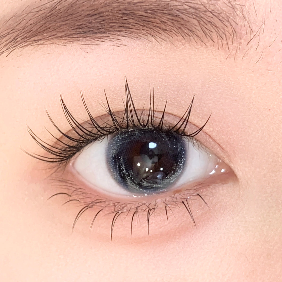 LENSPOISON-Abyssal Void Blue（6-month）